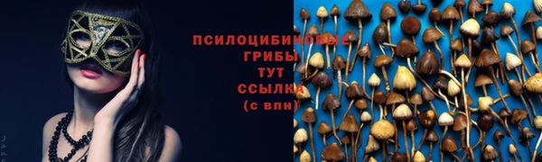 бошки Алексеевка