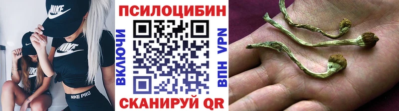blacksprut зеркало  Новоуральск  Псилоцибиновые грибы Cubensis 